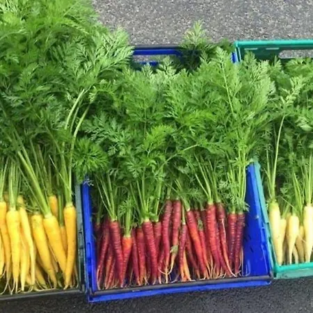 Knockranny House & 4*