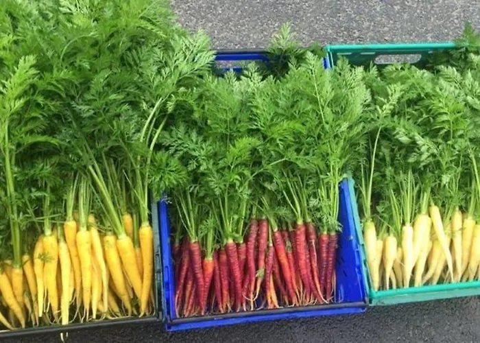 Knockranny House & 4*